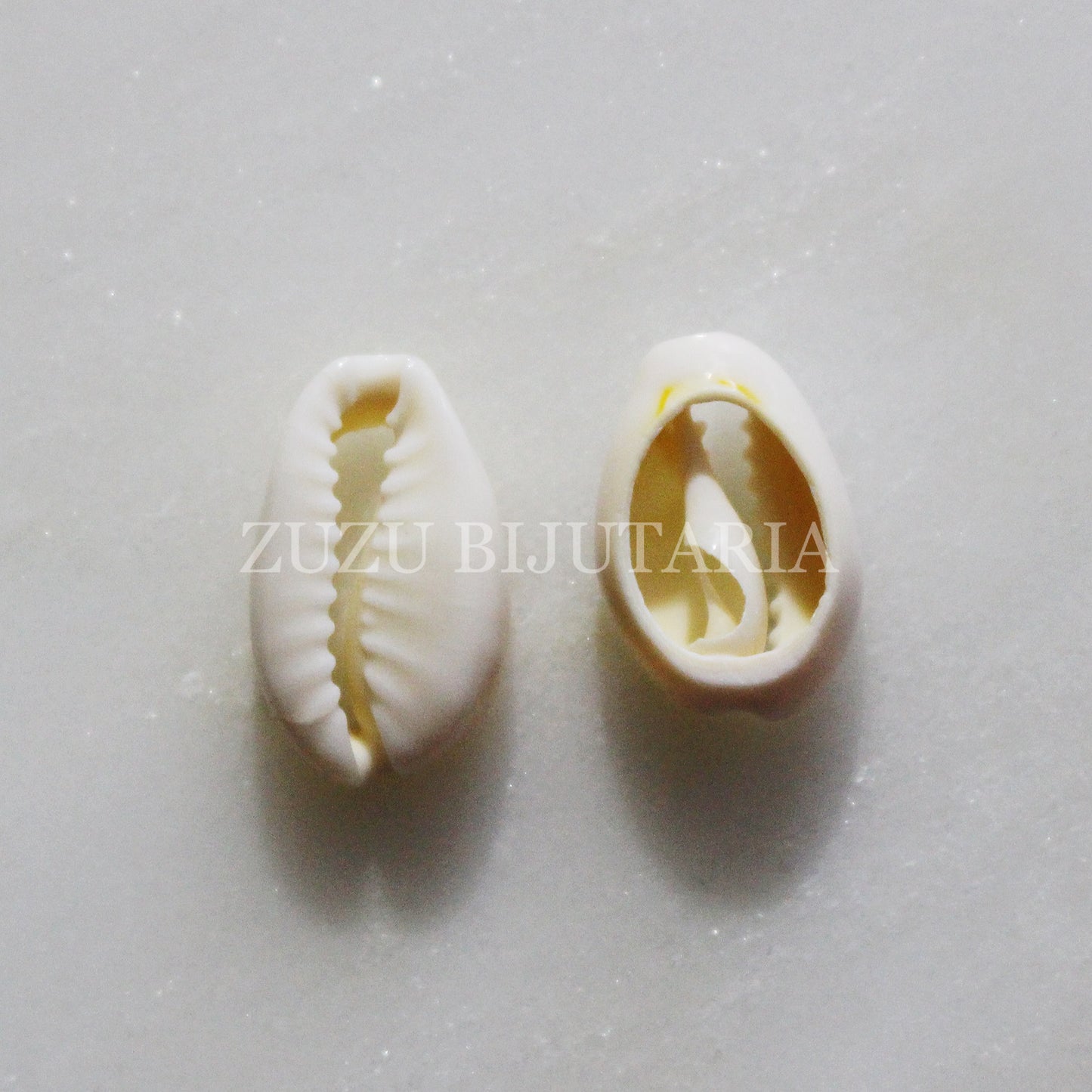 White Conch Pendant / Entremeio