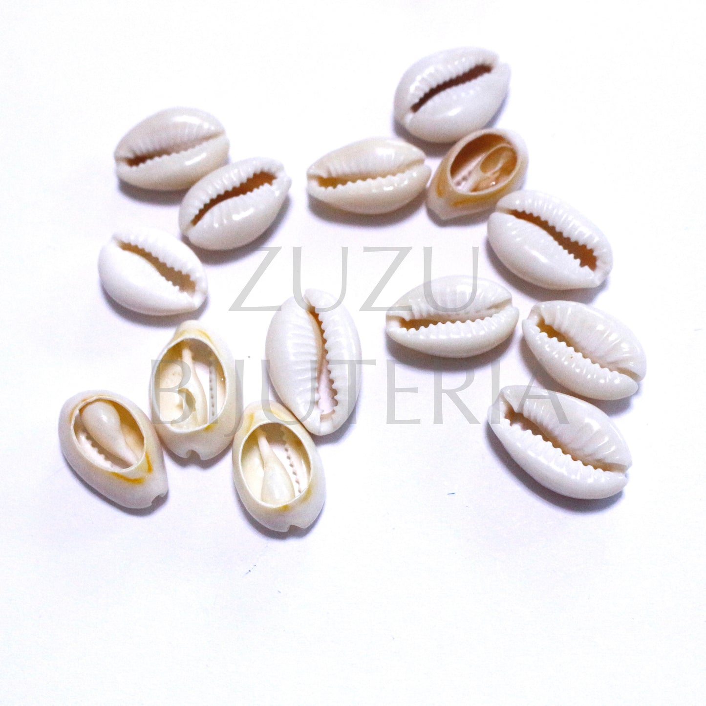 Búzio Pendant / Intermediate - 50 pieces