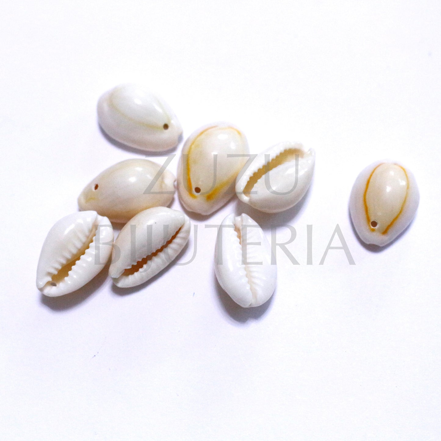 Conch Pendant 22mm x 15mm - 50 pieces