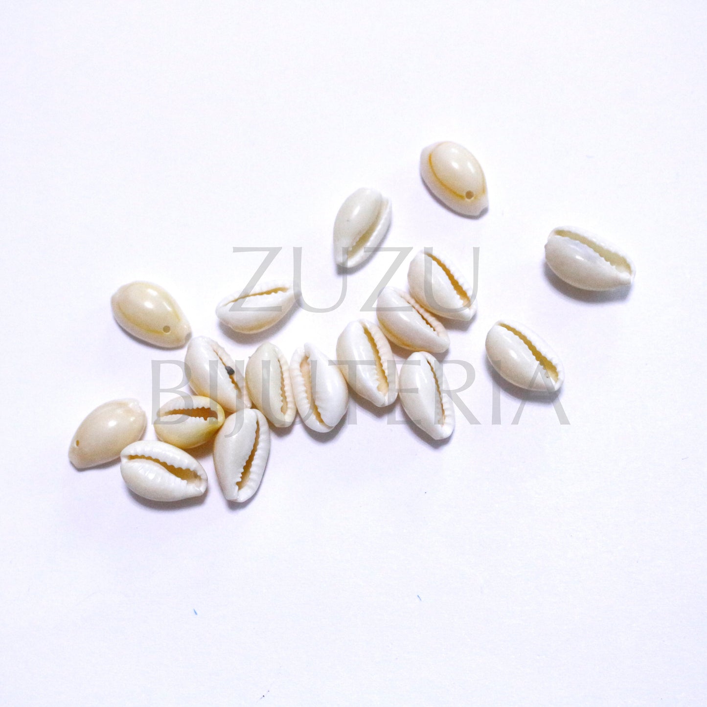 White Búzio Pendant - 50 pieces