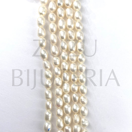 Row of Freshwater Pearl 6mm x 5mm (34cm)