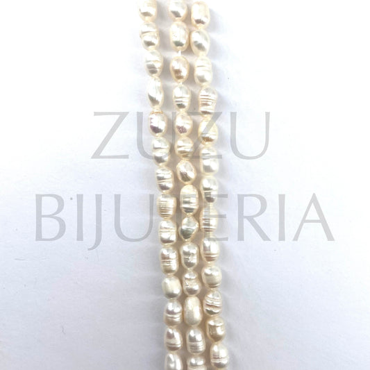 Row of Freshwater Pearl 8mm x 6mm (34cm)